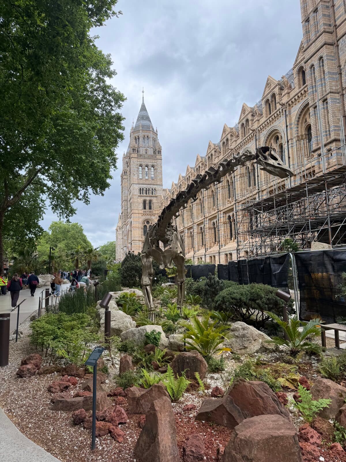 Fern, el diplodocus de bronce, en los jardines del museo