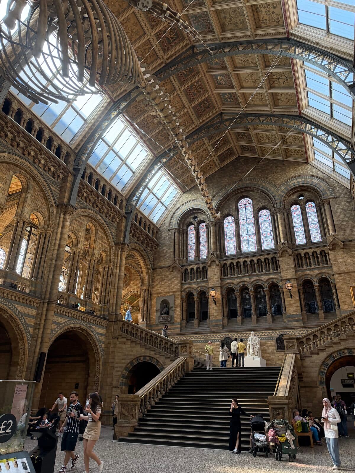 Hope, el esqueleto de ballena azul suspendido sobre el Hintze Hall